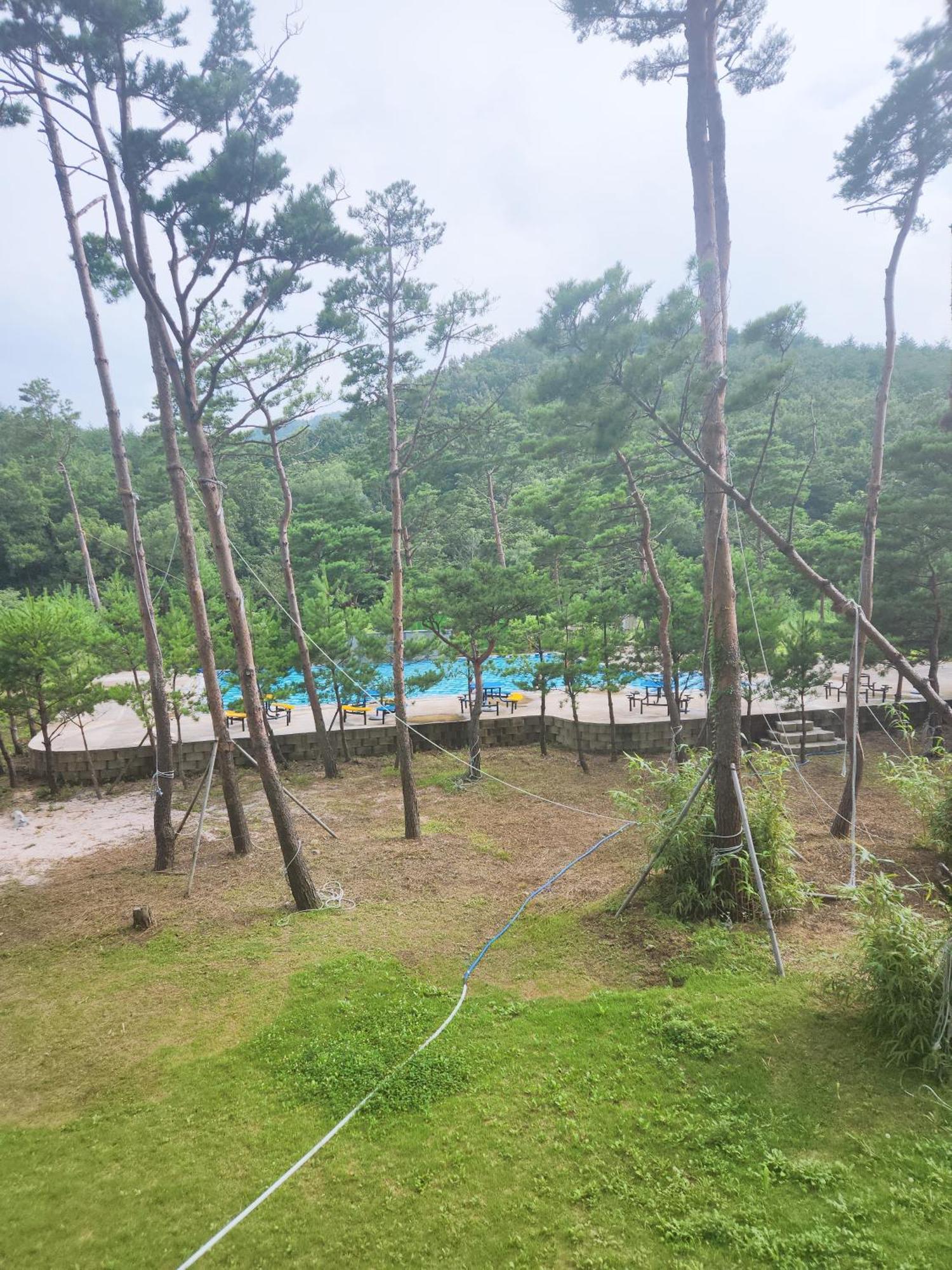 Sokcho Daemyung Heidi Pension ภายนอก รูปภาพ