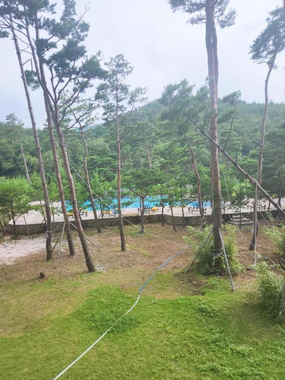 Sokcho Daemyung Heidi Pension ภายนอก รูปภาพ